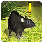 Home Rat simulator icon