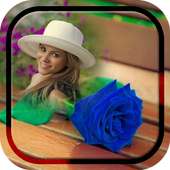 Blue Rose Photo Frame on 9Apps