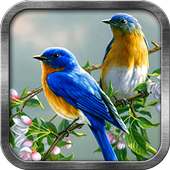 Lovebirds Live Wallpaper on 9Apps