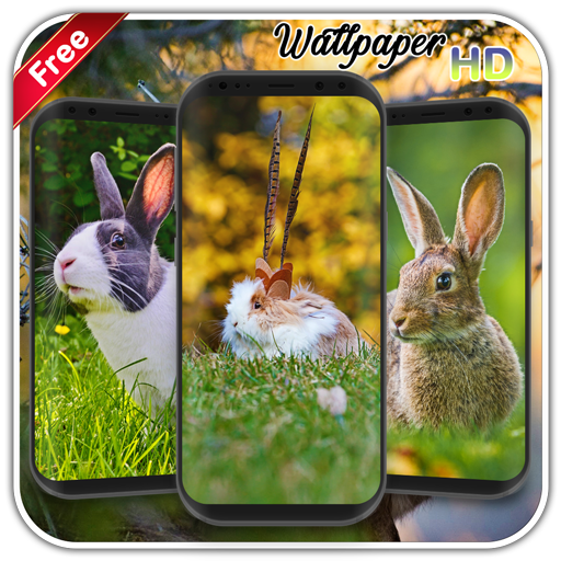 Rabbit Wallpaper icon