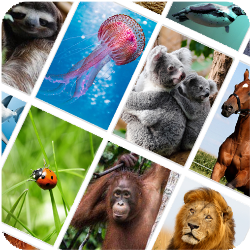 Picture Quiz: Animals icon