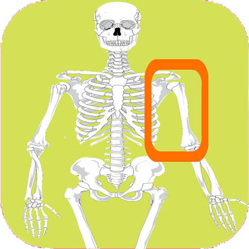 Skeleton bones, guess what it is icon