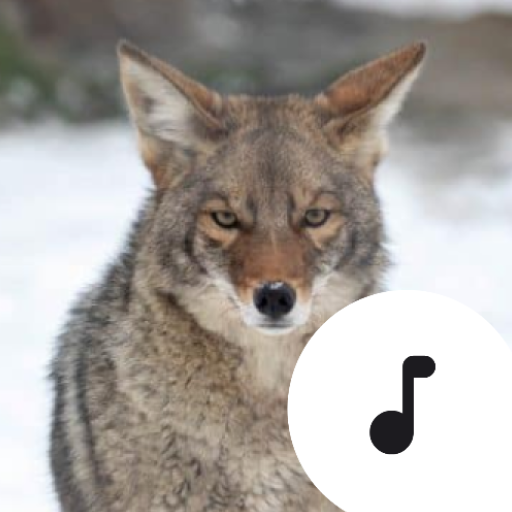 Coyote Sounds icon