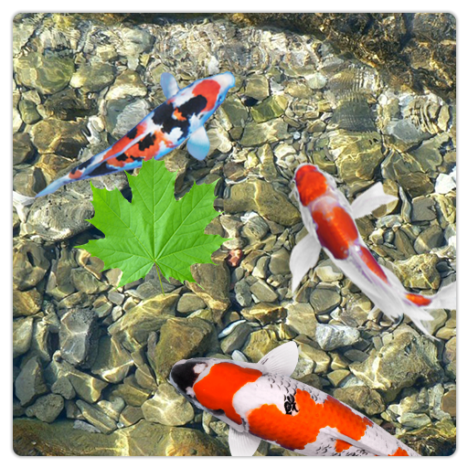 Aquarium Fish Live Wallpaper icon