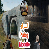 20سر من أسرار ببجي مستحيل تكون تعرفها بدون نت أيقونة