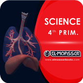 El-Moasser Respiratory System 3D icon