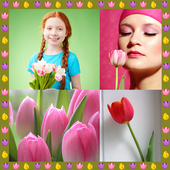 Tulipan kolaż zdjęć icon