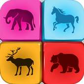 Animals Quiz