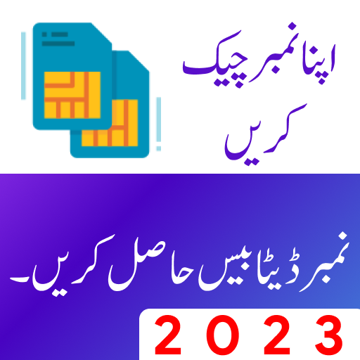 Pak E Services Pakistan icon