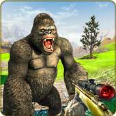 Angry King kong Attack-Wild Animal Shooting