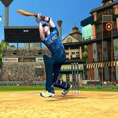 Online Cricket Games