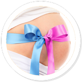 All About Pregnancy icon