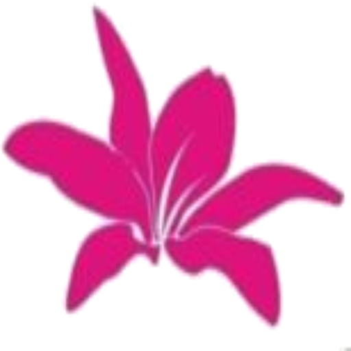 Dago Browser (Web Inspector) icon