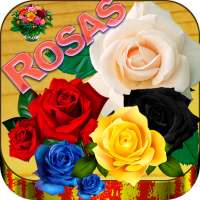 Rosas de amor y de colores para dedicar on 9Apps