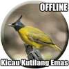 Suara Burung Kutilang Emas Mp3 on 9Apps