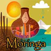 Moringa