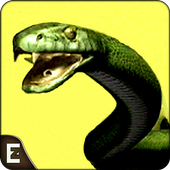 Angry Anaconda Snake Hunting 3D Shooting Simulator icon