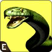 Angry Anaconda Snake Hunting 3D Shooting Simulator