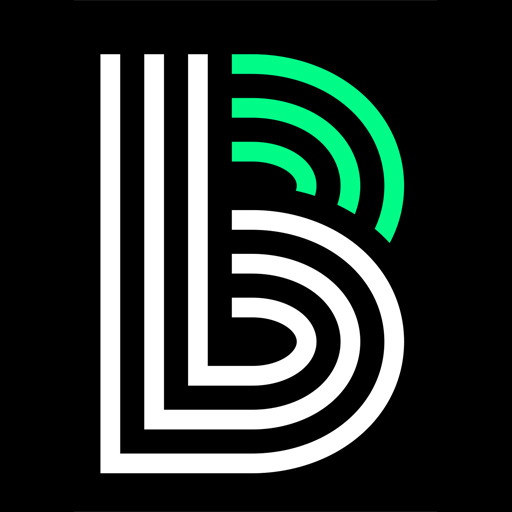 Big Brothers Big Sisters NEI icon