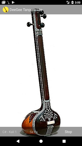 DeeGee Tanpura Lite screenshot 2
