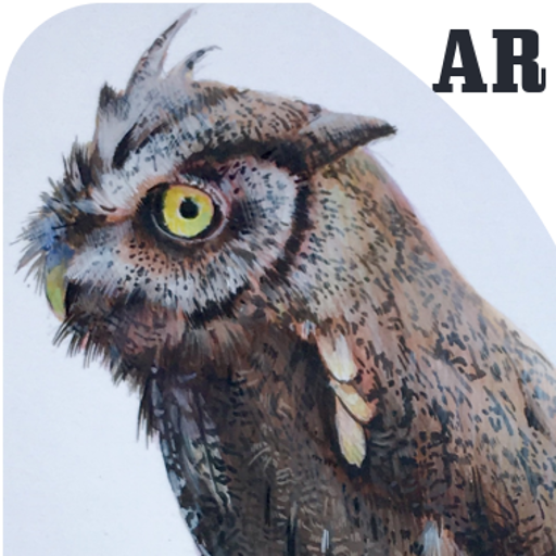 Homey Hero (AR game) icon