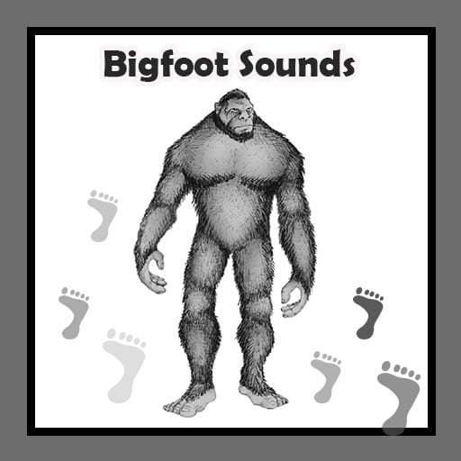 Bigfoot Sounds icon