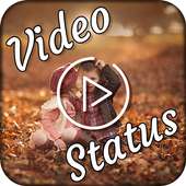 Cute Video Status on 9Apps