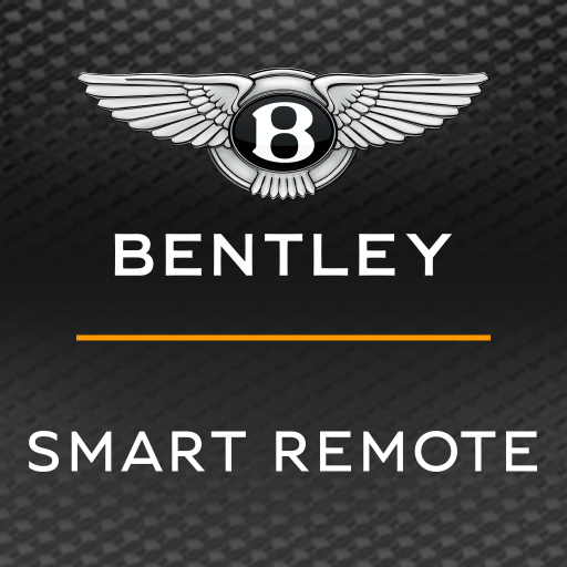 Smart remote icon