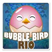 Bubble Bird Rio