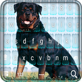 Rottweiler dog keyboard icon