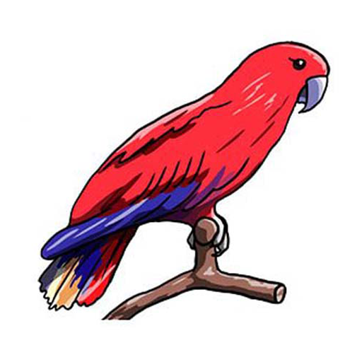 How to draw a parrot. Instruction icon