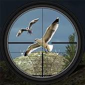 Hunt The Bird icon