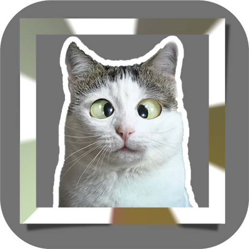 Funny Memes Sticker Whatapps icon