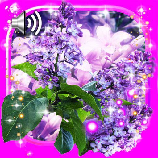 Lilac Tender LWP icon
