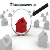 Niuton Services Pte Ltd icon