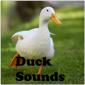 Duck Sounds icon
