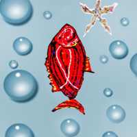 Fish Game : Fish Clash One