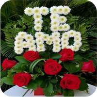 poemas para mujeres on 9Apps