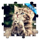 Cats Puzzle