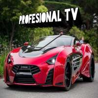Profesional TV