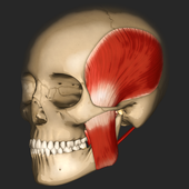 Anomalous Medical icon