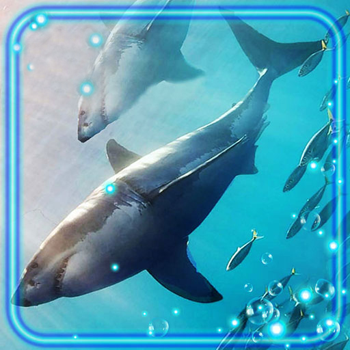 Sharks Live Wallpaper icon