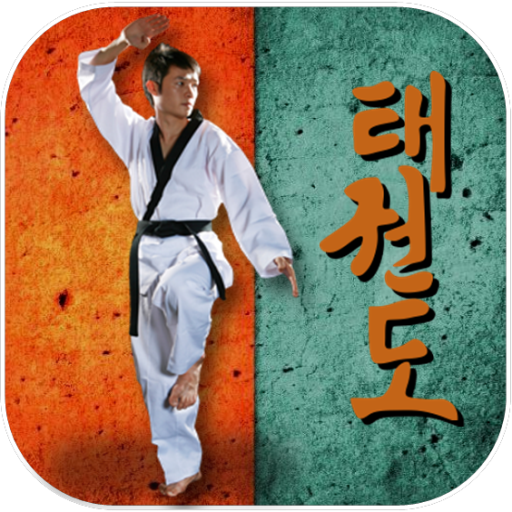 Taekwondo Pro icon