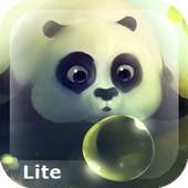 Panda Dumpling Lite on 9Apps