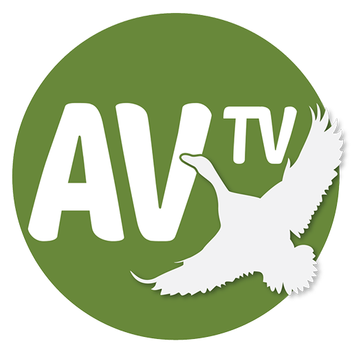 Av TV icon
