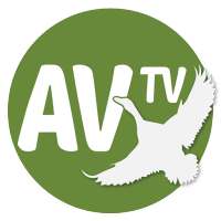 Av TV