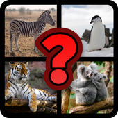 Guess Animals Trivia 2020 icon