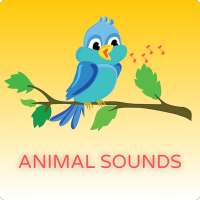 Animal Sounds