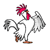 Run Chicken, Run ! icon