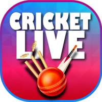 Ind vs Aus 2020 Live Score - Live Cricket Score